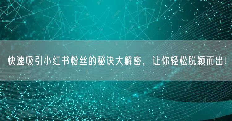 快速吸引小红书粉丝的秘诀大解密,让你轻松脱颖而出!