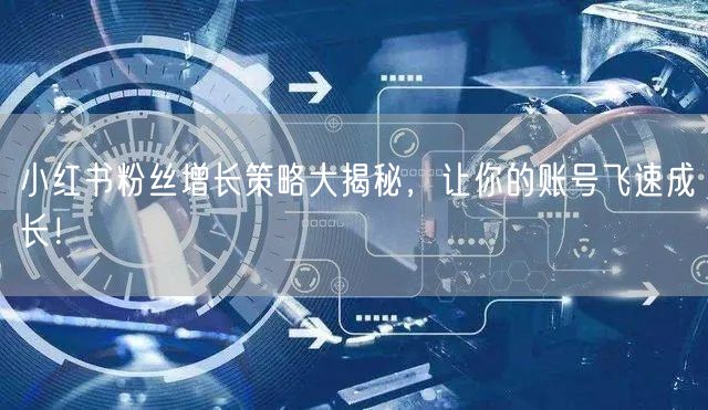 小红书粉丝增长策略大揭秘,让你的账号飞速成长!