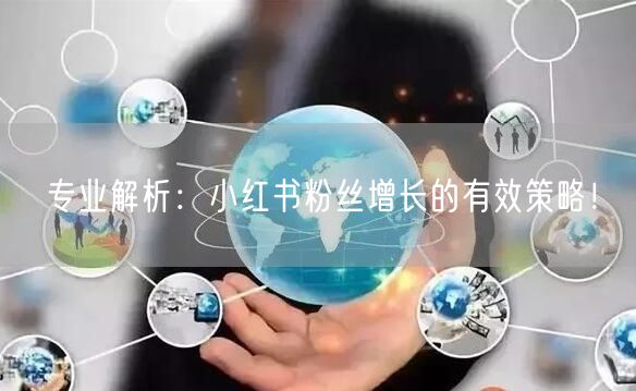 专业解析：小红书粉丝增长的有效策略！