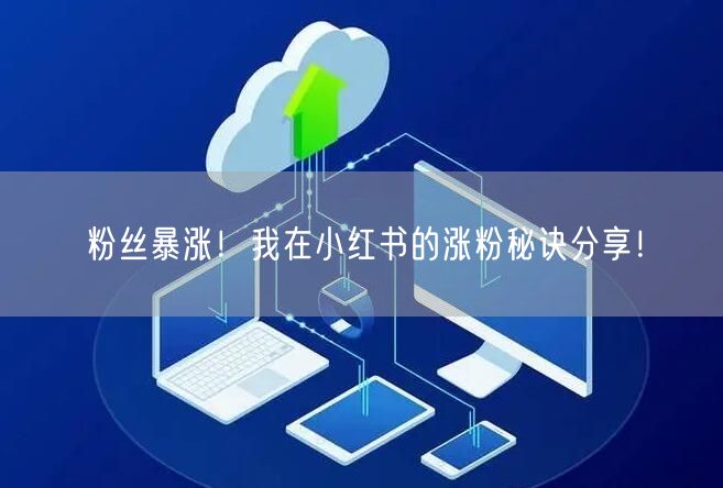 粉丝暴涨！我在小红书的涨粉秘诀分享！