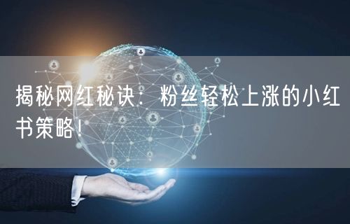 揭秘网红秘诀：粉丝轻松上涨的小红书策略！