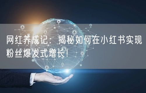 网红养成记:揭秘如何在小红书实现粉丝爆发式增长!