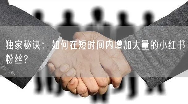 独家秘诀:如何在短时间内增加大量的小红书粉丝?