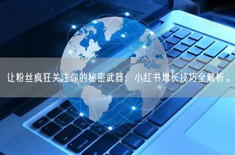 让粉丝疯狂关注你的秘密武器：小红书增长技巧全解析。