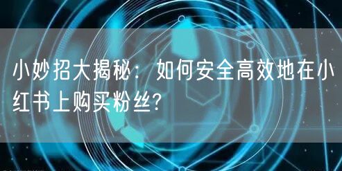 小妙招大揭秘：如何安全高效地在小红书上购买粉丝?