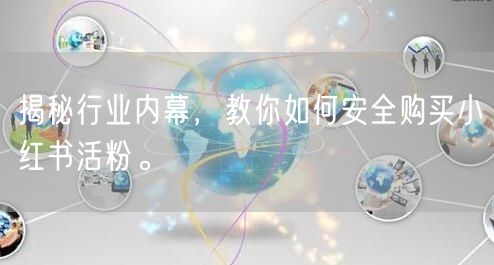 揭秘行业内幕,教你如何安全购买小红书活粉。