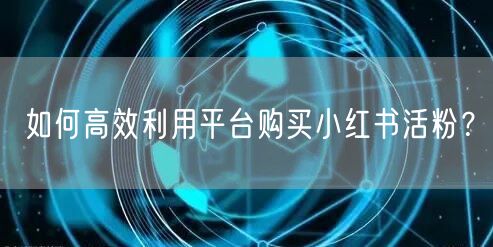 如何高效利用平台购买小红书活粉?