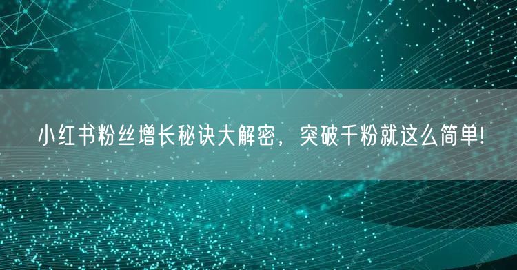 小红书粉丝增长秘诀大解密，突破千粉就这么简单!