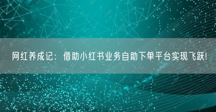 网红养成记：借助小红书业务自助下单平台实现飞跃!