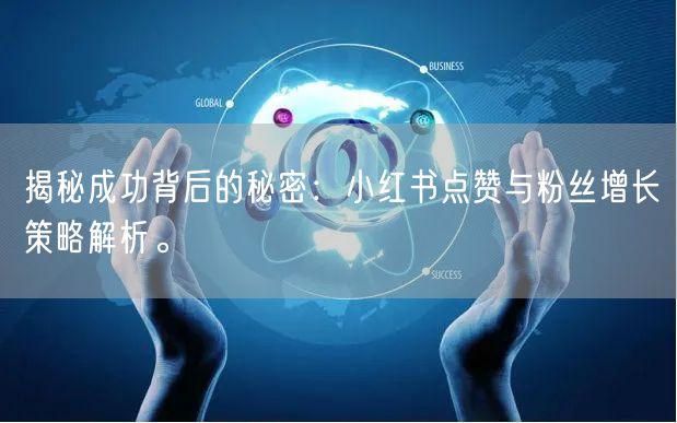 揭秘成功背后的秘密：小红书点赞与粉丝增长策略解析。