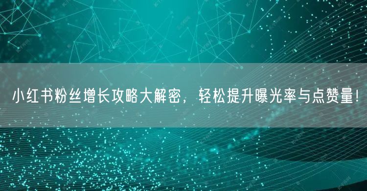 小红书粉丝增长攻略大解密，轻松提升曝光率与点赞量！