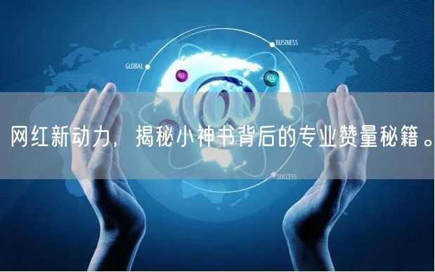 网红新动力,揭秘小神书背后的专业赞量秘籍。