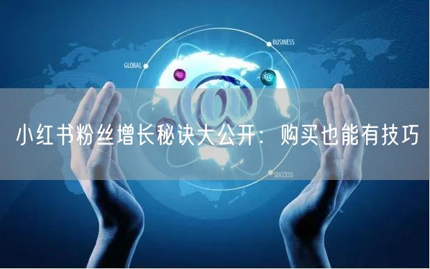 小红书粉丝增长秘诀大公开:购买也能有技巧