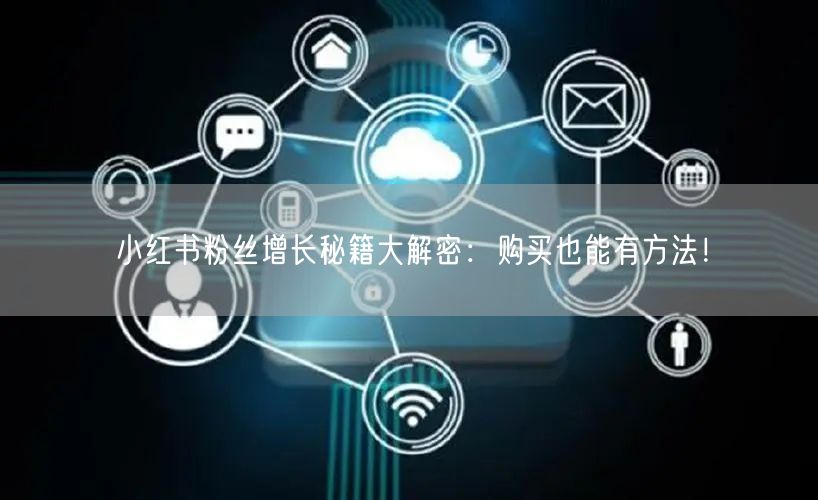 小红书粉丝增长秘籍大解密:购买也能有方法!