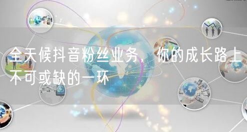 全天候抖音粉丝业务，你的成长路上不可或缺的一环